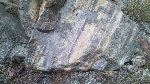 Гигантские зелёные валуны для ландшафтного дизайна весом более 5 тонн купить в Омской области